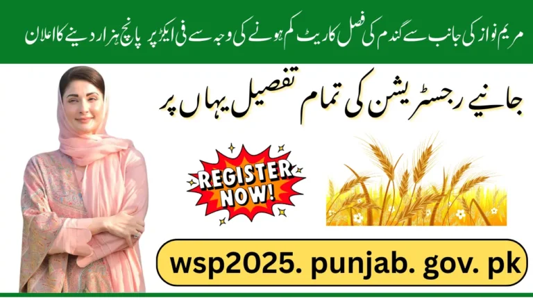 Maryam Nawaz Wheat Support 5000/Acre For Non-Profitable Farmers Know Full Registration Guide