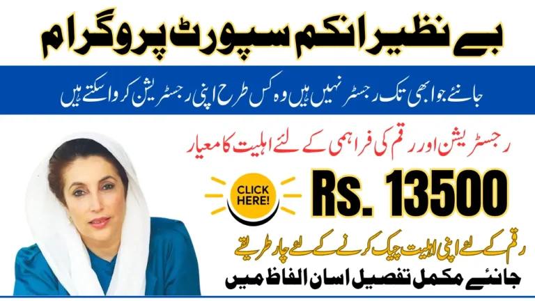 Benazir Income Support Programme 2026 Registration Process And Status Check Detail In Feb-March Know Full Guide