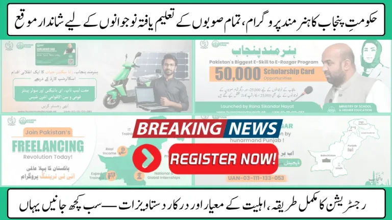 Punjab Hunarmand Program 2025 For Youth Of Pakistan Know Step-By-Step Online Admission Process
