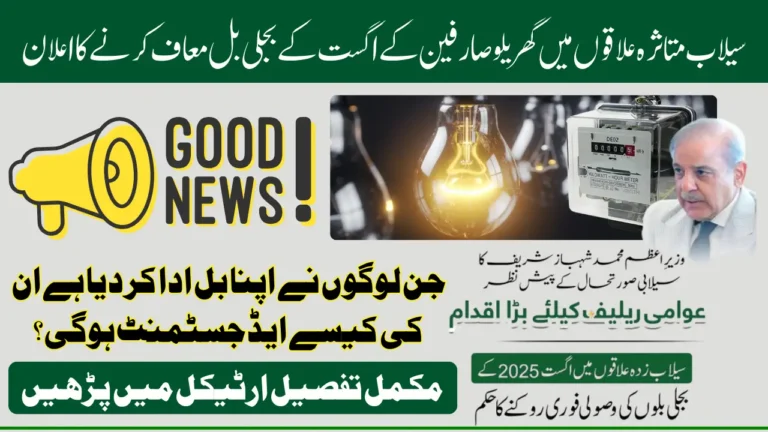 Good News! PM Shehbaz Sharif Announced August 2025 Electricity Bills Waived for Flood-Affected Households