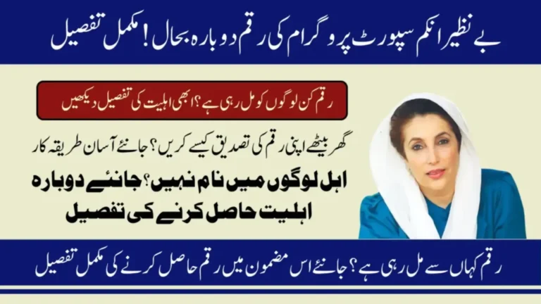 BISP Payment Resumption March 2026 New Phase For 13500 - Know How to Check CNIC and Receive Easily
