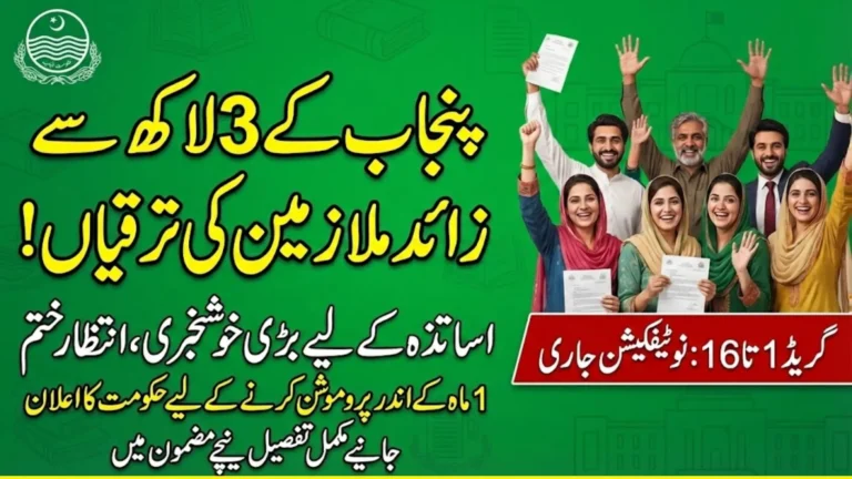 Punjab Govt Orders Fast-Track Promotions For More Than 300000 Teachers and Employees, Sets One-Month Deadline