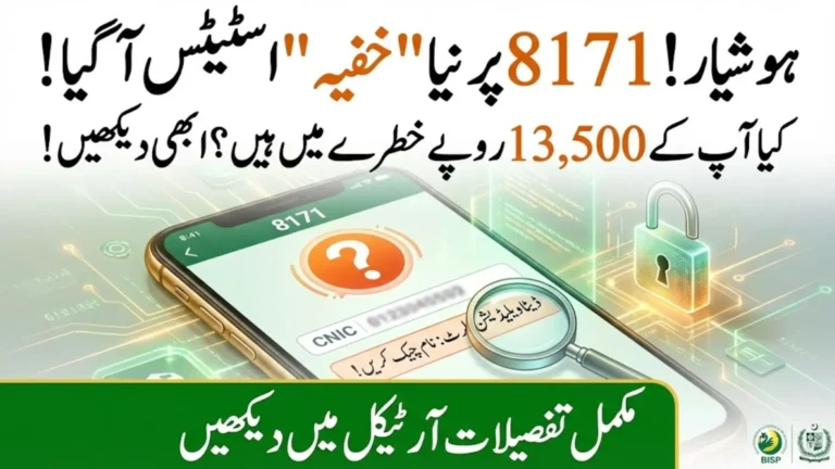 8171 Validation Guide: Fastest Way to Check and Confirm All Your Personal Details Online Using CNIC Number